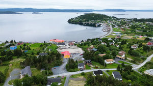 Drone view of Dildo Harbour, Newfoundland, with Dildo Brewing Co. visible at the bottom center of the photo.