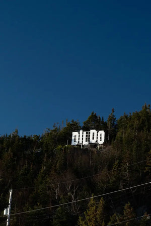 DILDO sign in Dildo, Newfoundland, resembling the Hollywood sign, perched on a hill and surrounded by trees.