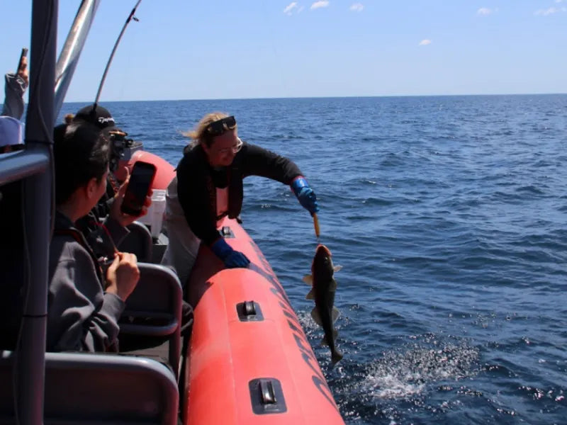 Dildo Cod Fishing & Boil-Up – Dildo Brewing Co
