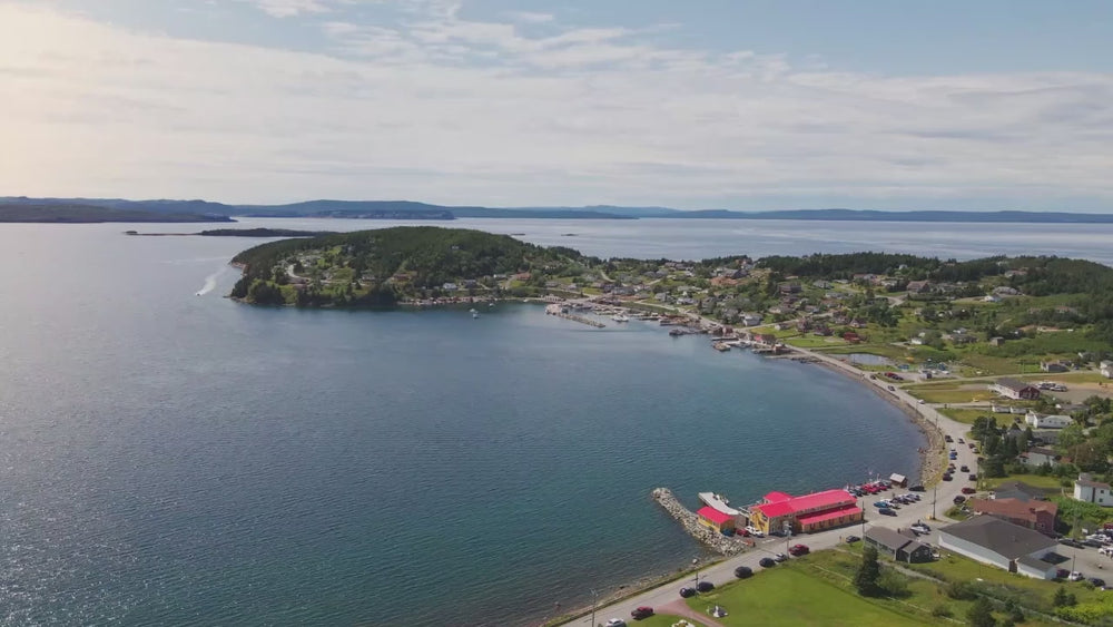 Drone view of Dildo Harbour, focusing on Dildo Brewing Co. Taproom, followed by shots of New Harbour production facility equipment and both the exterior and interior of Dildo Coffee House.